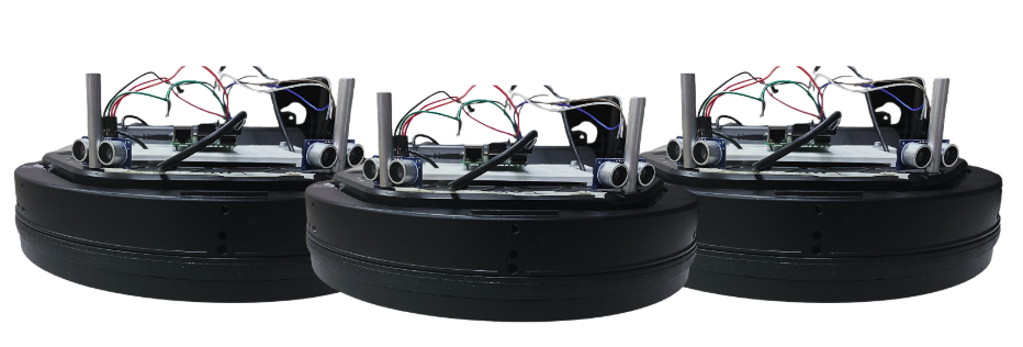 Final Environment After Algorithm Completion